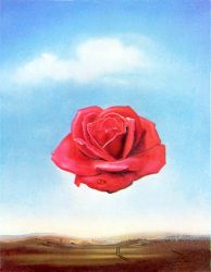 Salvador Dali - Meditative Rose