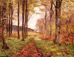 A Woodland Landscape