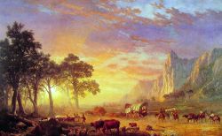 Oregon Trail 1