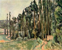 Poplars