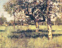 An Orchard In May