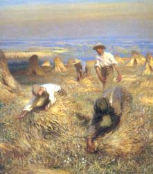 Harvesting The Sheaves