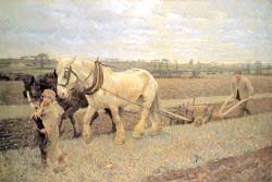 Ploughing