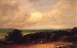 Landscape - Ploughing Scene In Suffolk