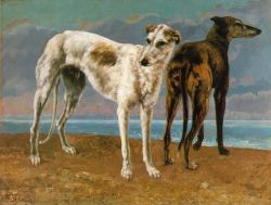 Count De Choiseul’s Greyhounds