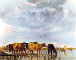 Cows In The Water