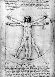 Vitruvian Man