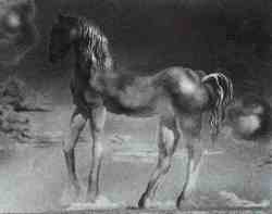 The Unicorn (Unfinished) (1976)