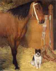 At The Stables - Horse And Dog