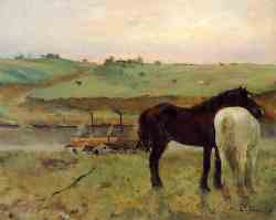 Horses In A Meadow