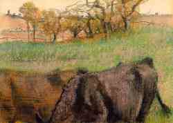 Landscape - Cows In The Foreground