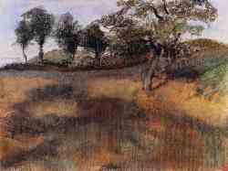 Plowed Field