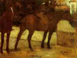Study Of Horses