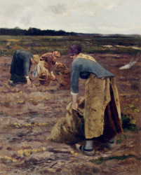 The Potato Gatherers