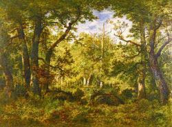 A Sunlit Clearing In The Forest At Fontainebleau