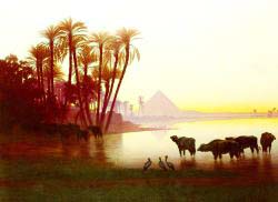 Along The Nile