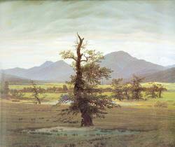 Landscape With Solitary Tree