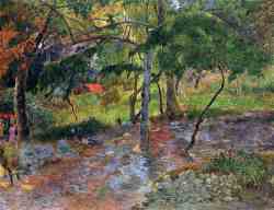 River Under The Trees -  Martinique