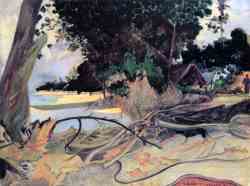 The Hibiscus Tree