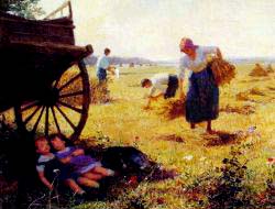 Haymaking