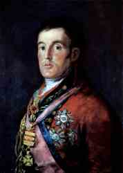 The Duke Of Wellington