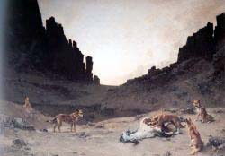 Dogs Of The Douar Devouring A Dead Horse