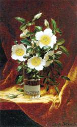 Cherokee Roses In A Glass