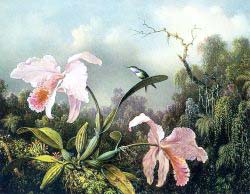 Orchids And Hummingbird 1