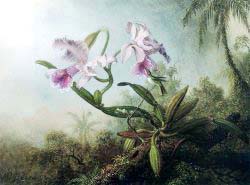 Orchids And Hummingbird 2