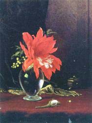 Red Flower In A Vase