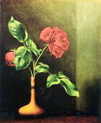 Still LIfe With Rose