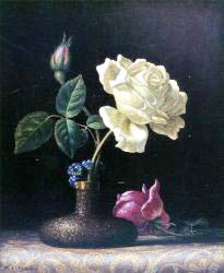 The White Rose