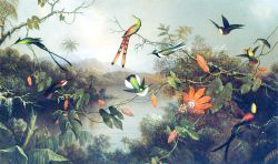 Tropical Landscape With Ten Hummingbirds