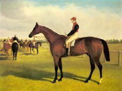 Don John - The Winner Of The St. Leger With William Scott Up