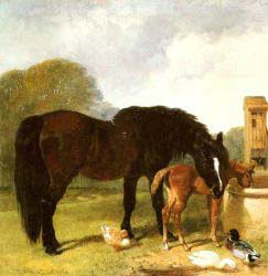 Horse And Foal Watering At A Trough