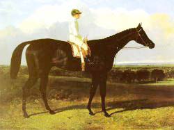 Jonathan Wild - A Dark Bay Race Horse At Goodwood