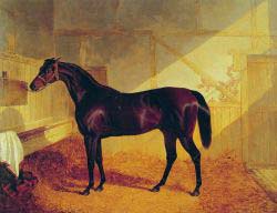 Mr Johnstone-s Charles XII In A Stable