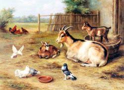 A Farmyard Scene With Goats, Chickens and Doves