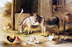 Farmyard Friends