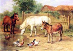 Ponies - Donkey And Ducks In A Farmyard