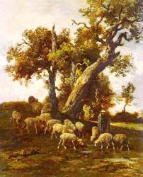 Sheep At Pasture