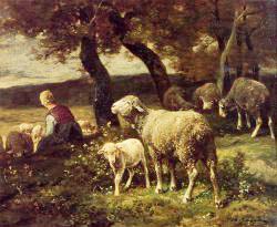 Shepherdess And Sheep