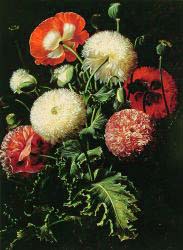 Still Life With Pink, Red And White Poppies