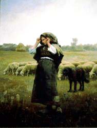 Shepherdess And Her Flock