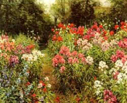 A Flower Garden