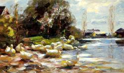 Ducks On A Riverbank On A Sunny Afternoon