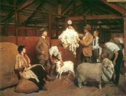 Weighing The Fleece