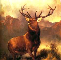 Monarch Of The Glen