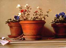 Potted Flowers