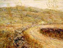 Road In Spring